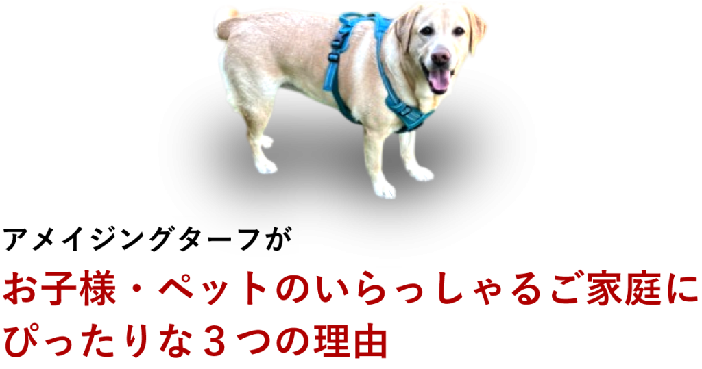 アメイジングターフがお子様・ペットのいらっしゃるご家庭にぴったりな3つの理由